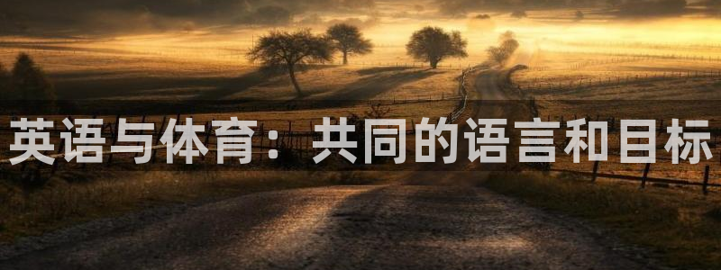 劲球体育直播免费观看：英语与体育：共同的语言和目标