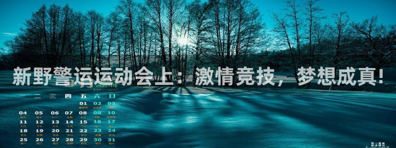 劲球体育nba直播入口：新野警运运动会上：激情竞技，梦想成真!