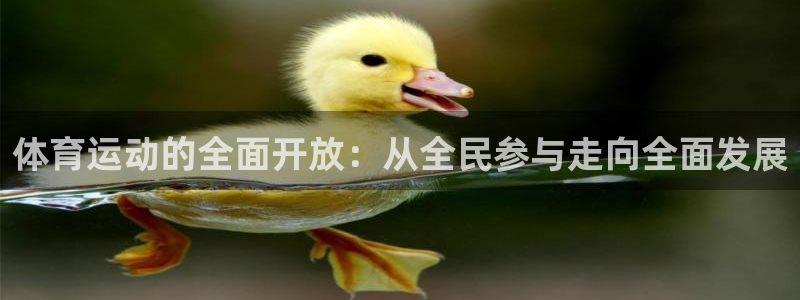 劲球体育视频：体育运动的全面开放：从全民参与走向全面发展